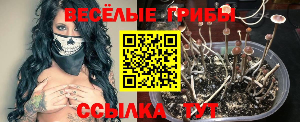 Галлюциногенные грибы прущие грибы Новый Уренгой